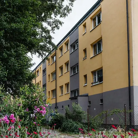 Centrum, Sun & Snow *